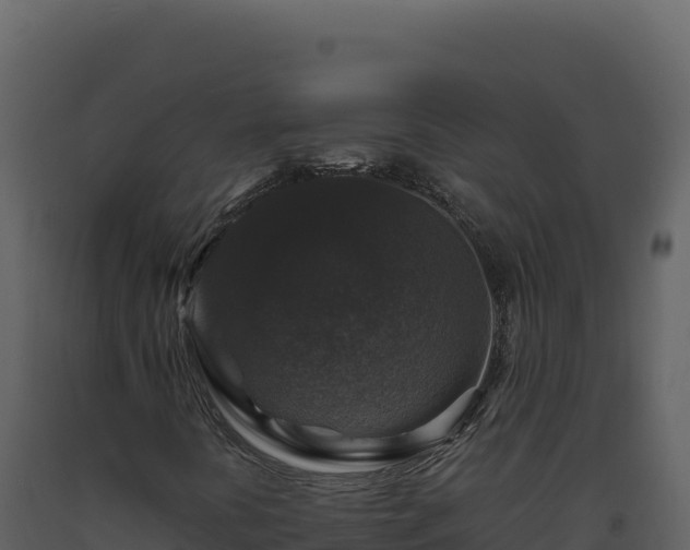 X0000093491394200710191217