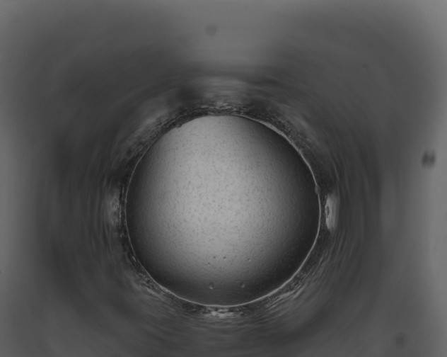 X0000093491395200710191217