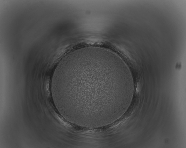 X0000093491396200710191218