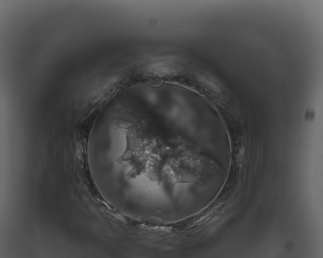 X0000093491397200710191218