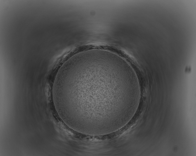 X0000093491398200710191218