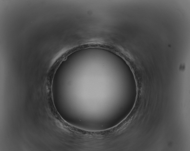X0000093491400200710191218