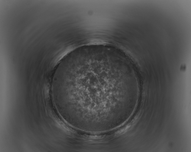 X0000093491401200710191218