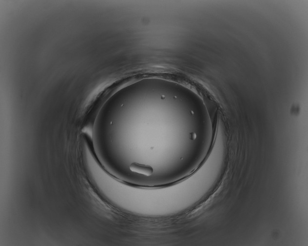 X0000093491402200710191218