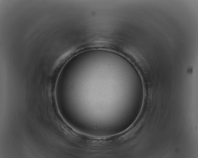 X0000093491403200710191218