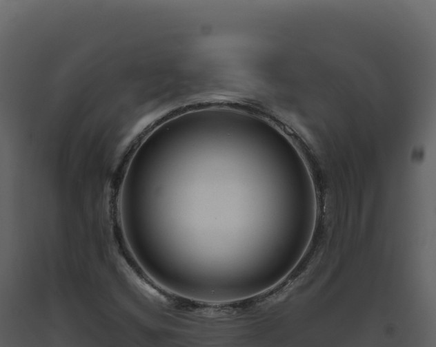 X0000093491404200710191218