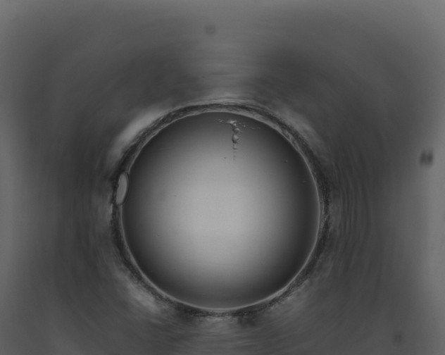 X0000093491406200710191218