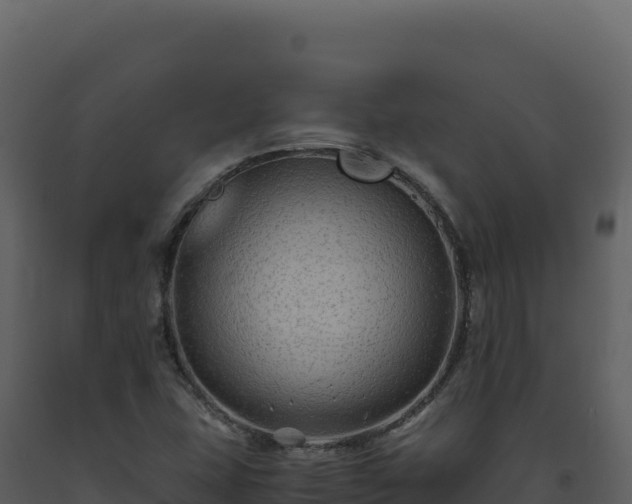 X0000093491407200710191218