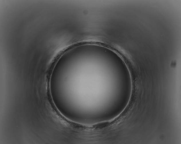 X0000093491408200710191218