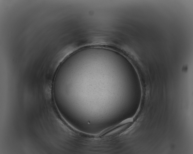 X0000093491409200710191218