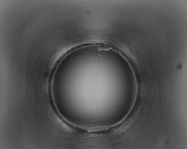 X0000093491412200710191218