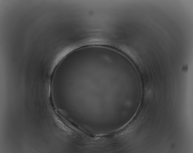 X0000093491413200710191218