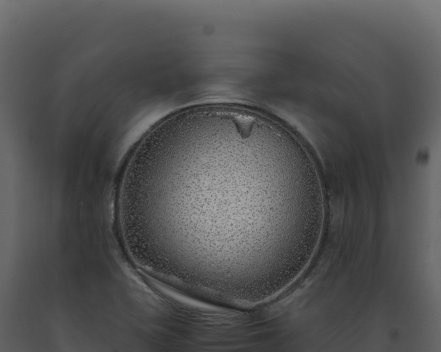 X0000093491415200710191218
