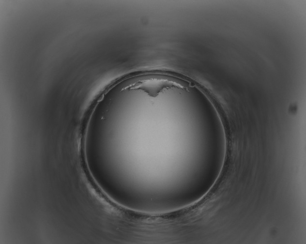 X0000093491416200710191218
