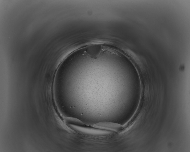 X0000093491417200710191218