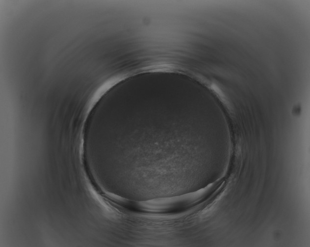 X0000093491418200710191218