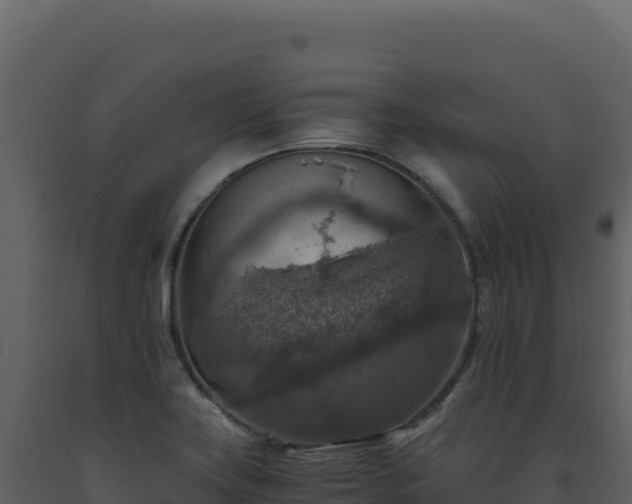 X0000093491419200710191218