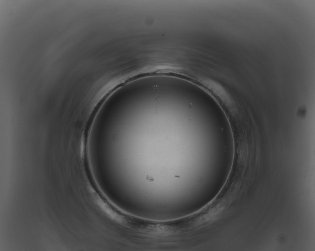 X0000093491420200710191218