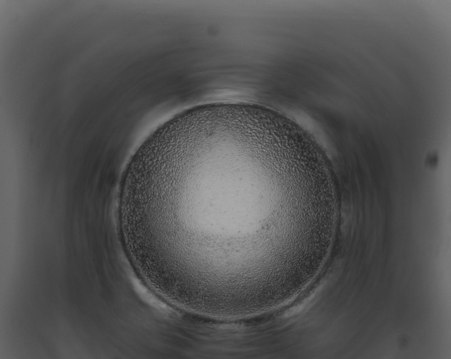 X0000093491421200710191218