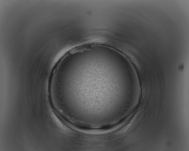 X0000093491422200710191218