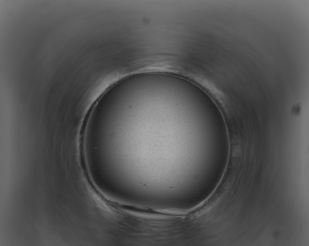 X0000093491423200710191218