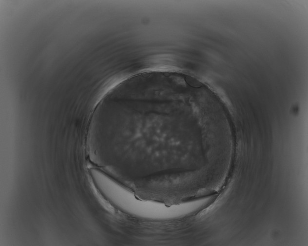 X0000093491425200710191218
