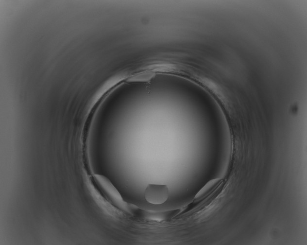 X0000093491426200710191218