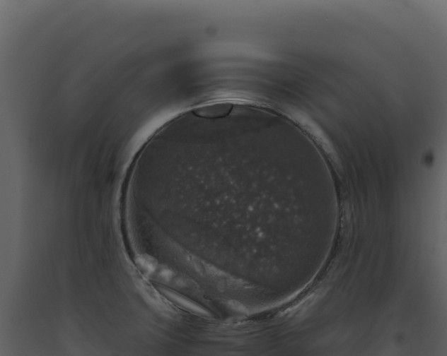 X0000093491427200710191218