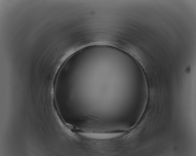 X0000093491428200710191218