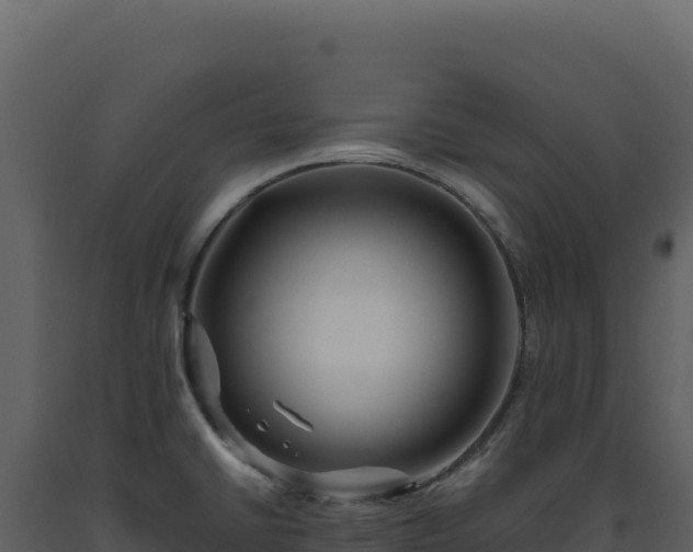 X0000093491430200710191218