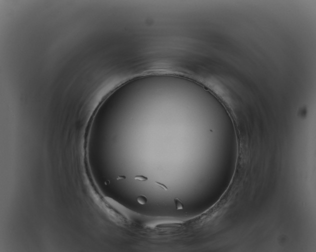 X0000093491431200710191218