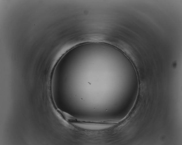 X0000093491432200710191218