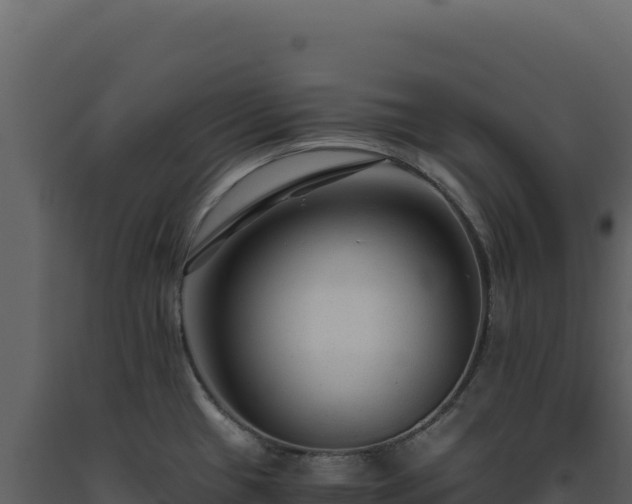X0000093491433200710191218