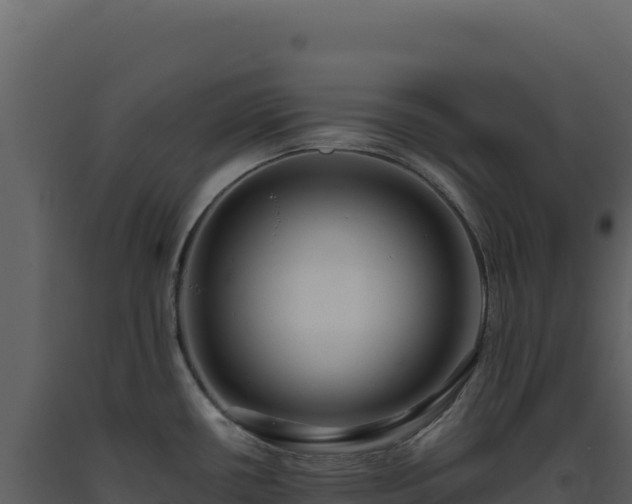 X0000093491434200710191218