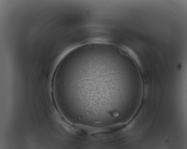 X0000093491435200710191218
