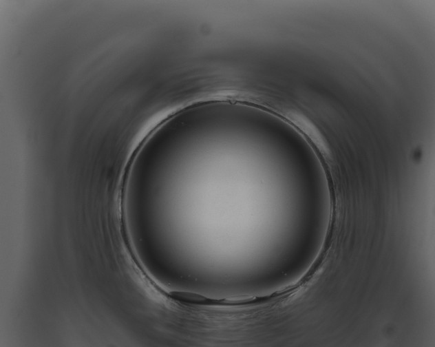 X0000093491436200710191218