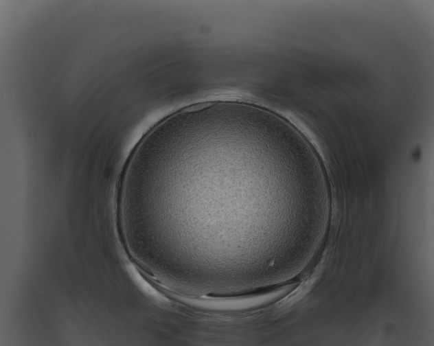 X0000093491438200710191218