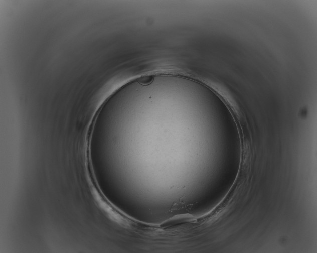 X0000093491439200710191218