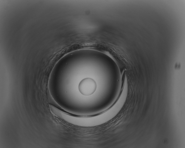 X0000093491441200710191217