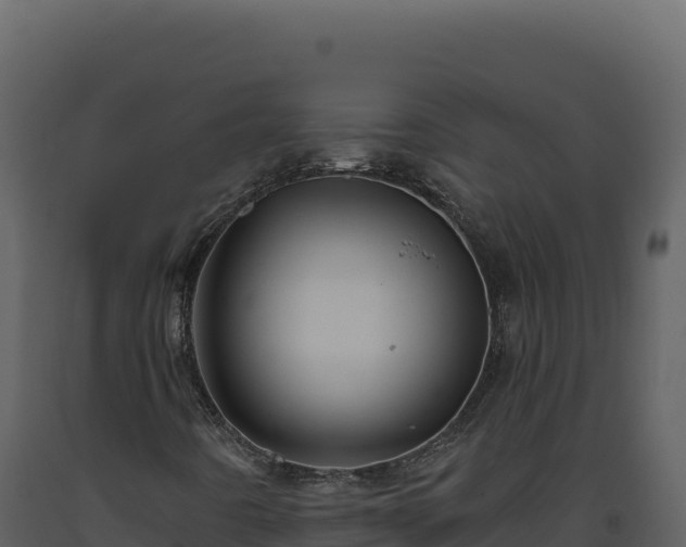 X0000093491442200710191217