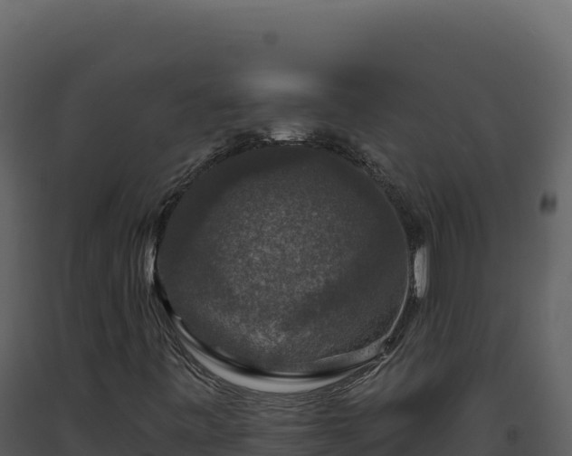 X0000093491443200710191217