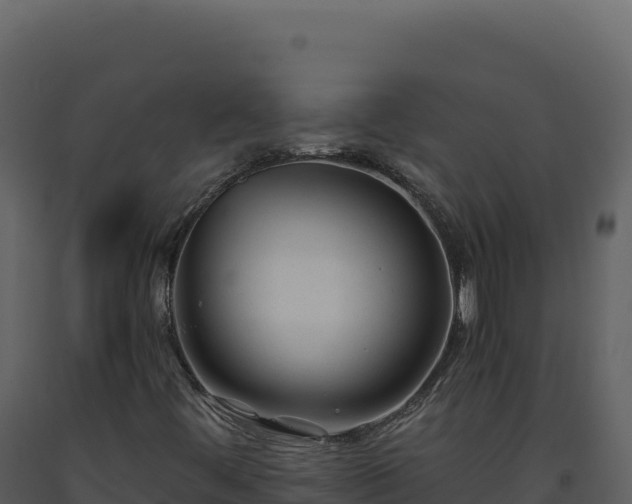 X0000093491444200710191217