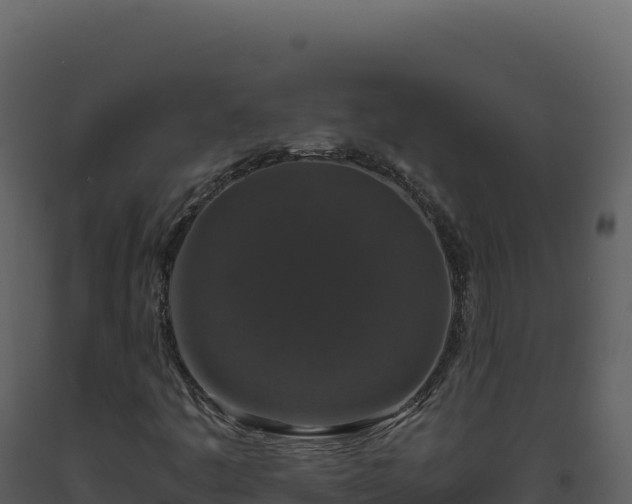 X0000093491445200710191217
