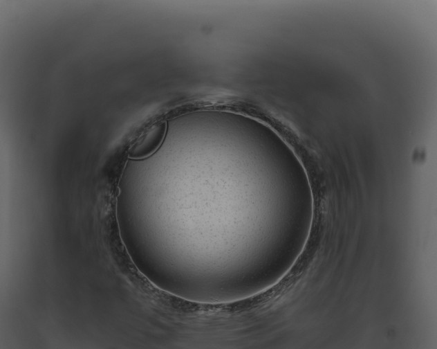 X0000093491447200710191217
