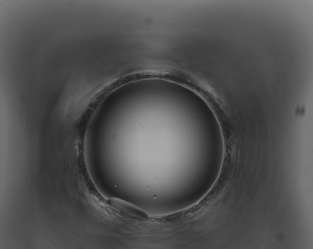 X0000093491448200710191217