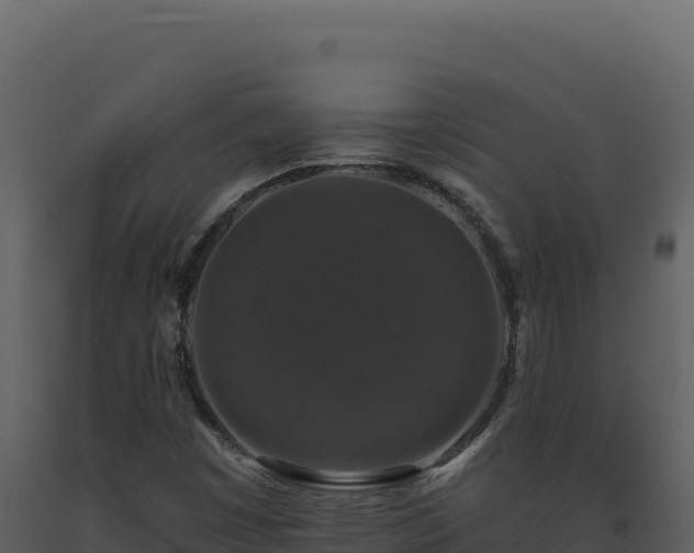 X0000093491449200710191217