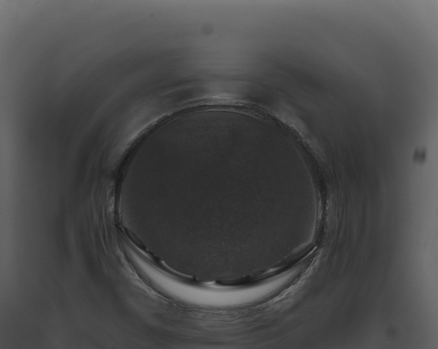 X0000093491450200710191217