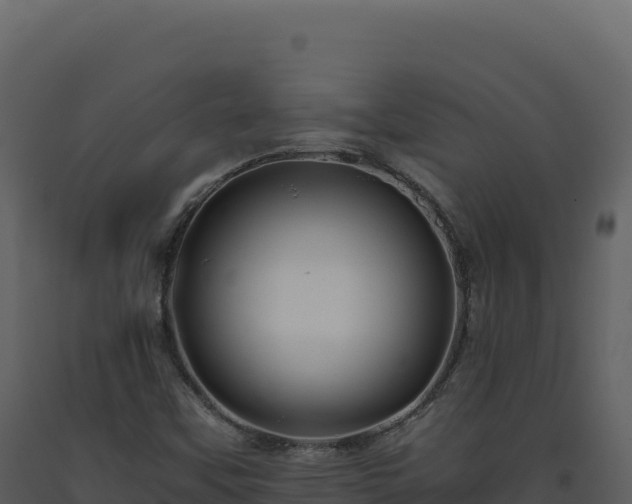X0000093491451200710191217
