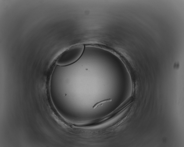 X0000093491452200710191217