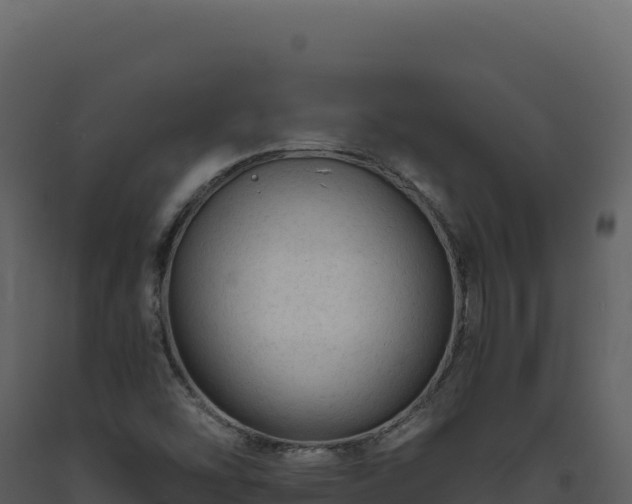 X0000093491454200710191217